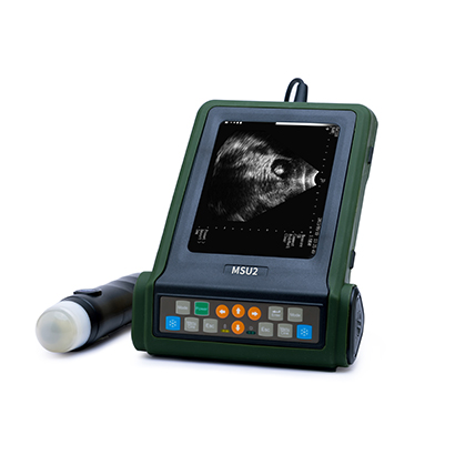 猪用B超机的校准流程和操作规范